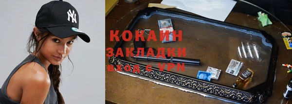винт Новозыбков