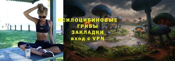 меф Новодвинск